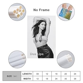 Amazon.co.jp: Dua Lipa デュアリパ 有名な歌手 玄関 ポスター